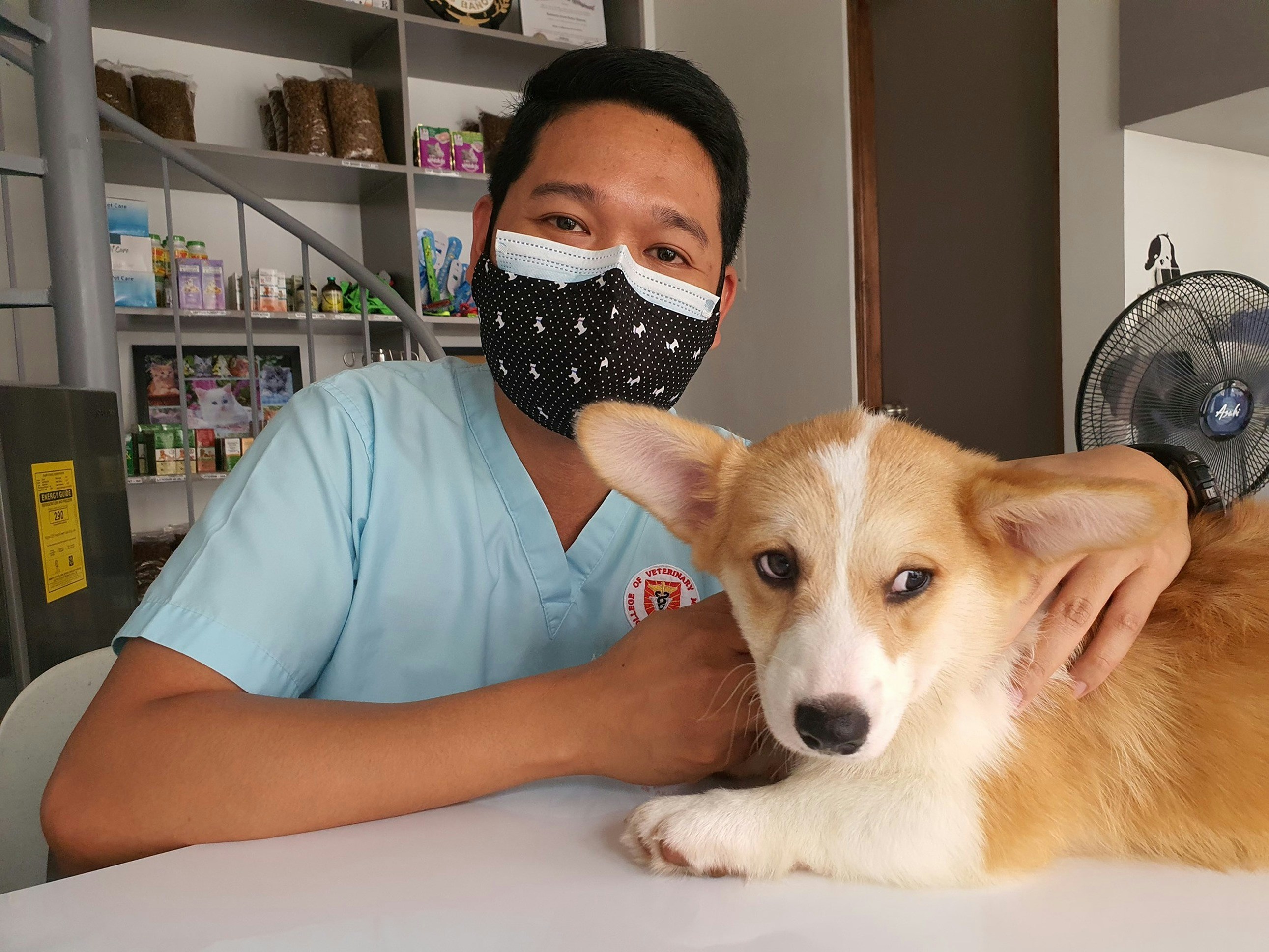 Chuyên gia